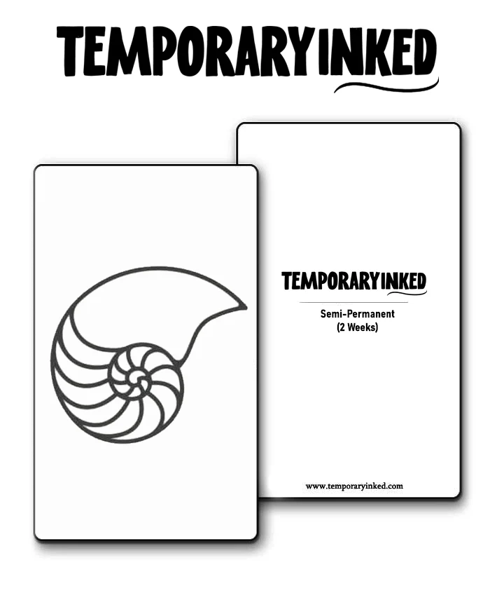 Nautilus Shell Minimal
